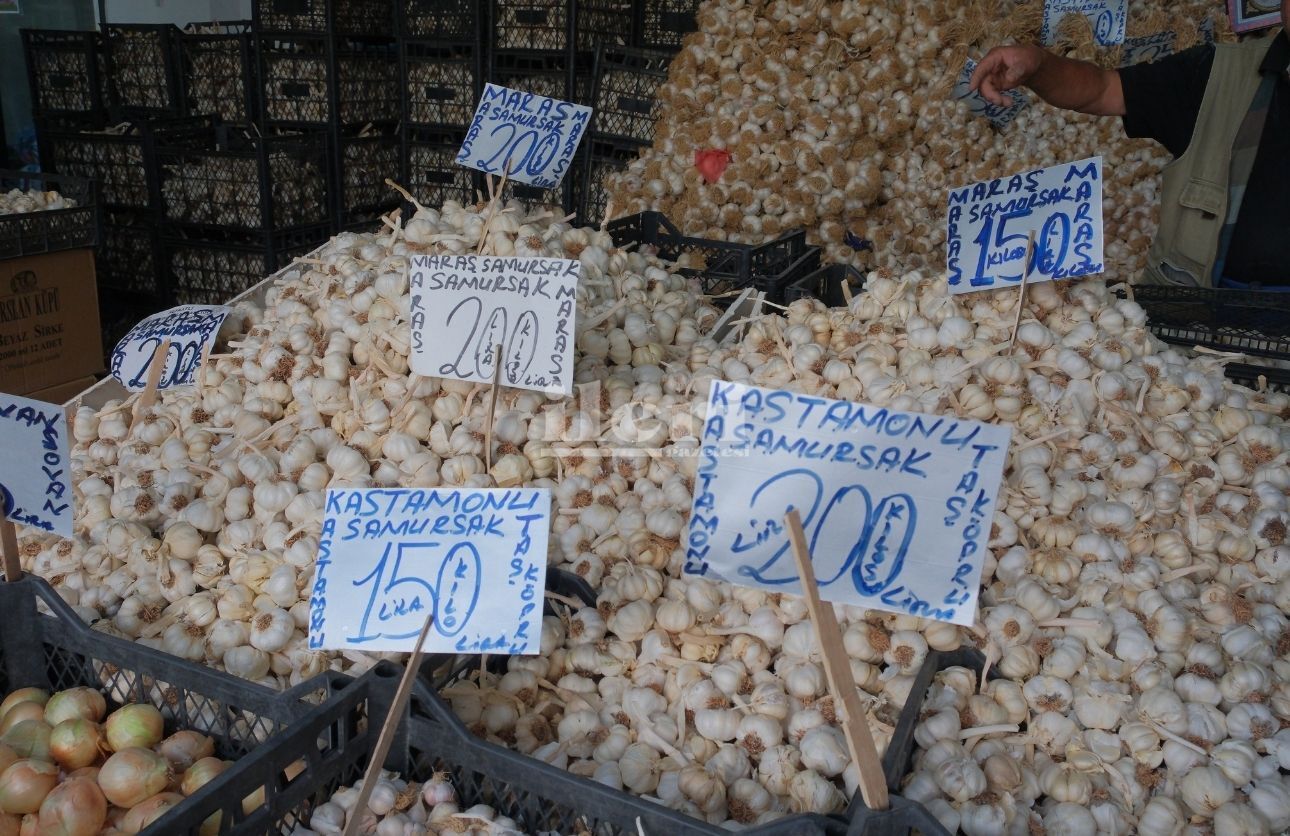 Sarımsak (1)