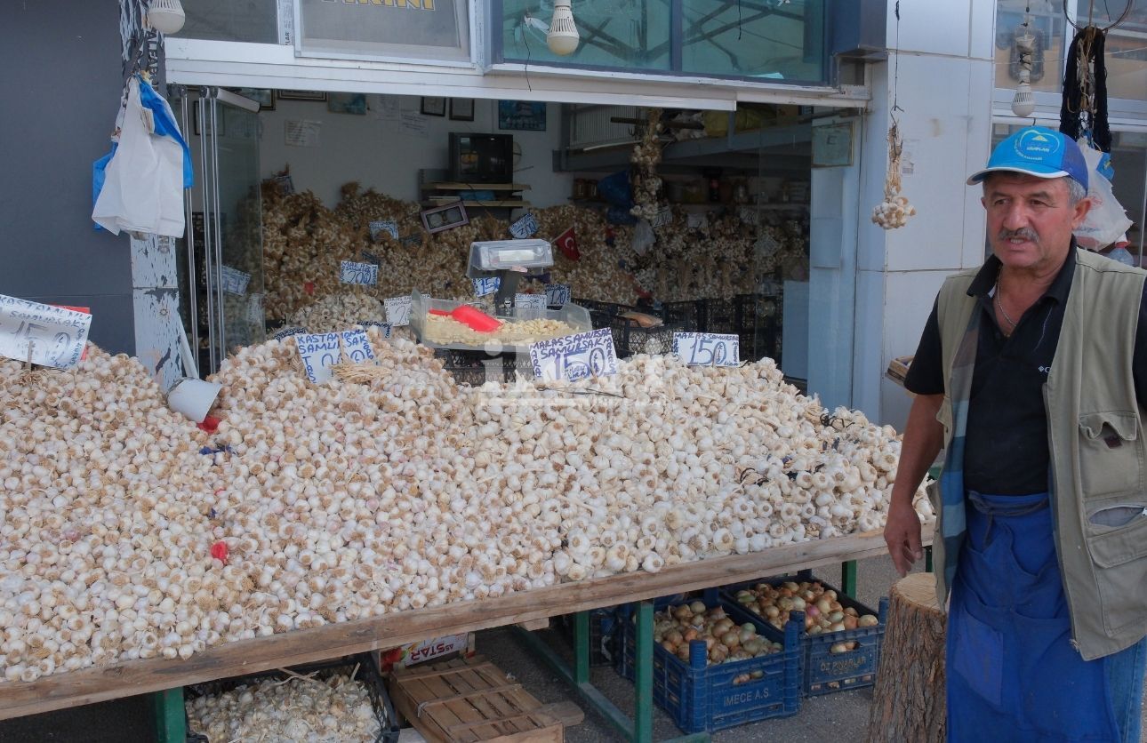 Sarımsak (2)