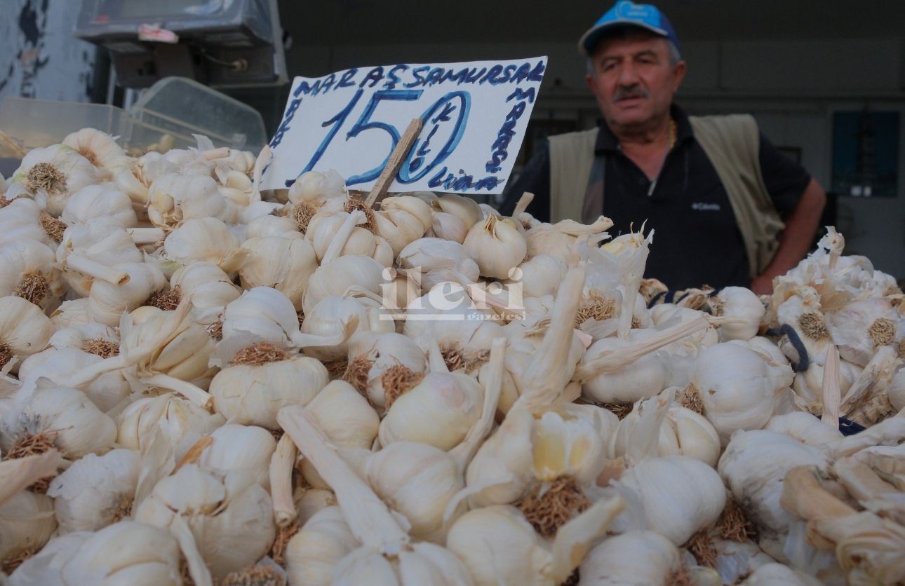 Sarımsak (3)