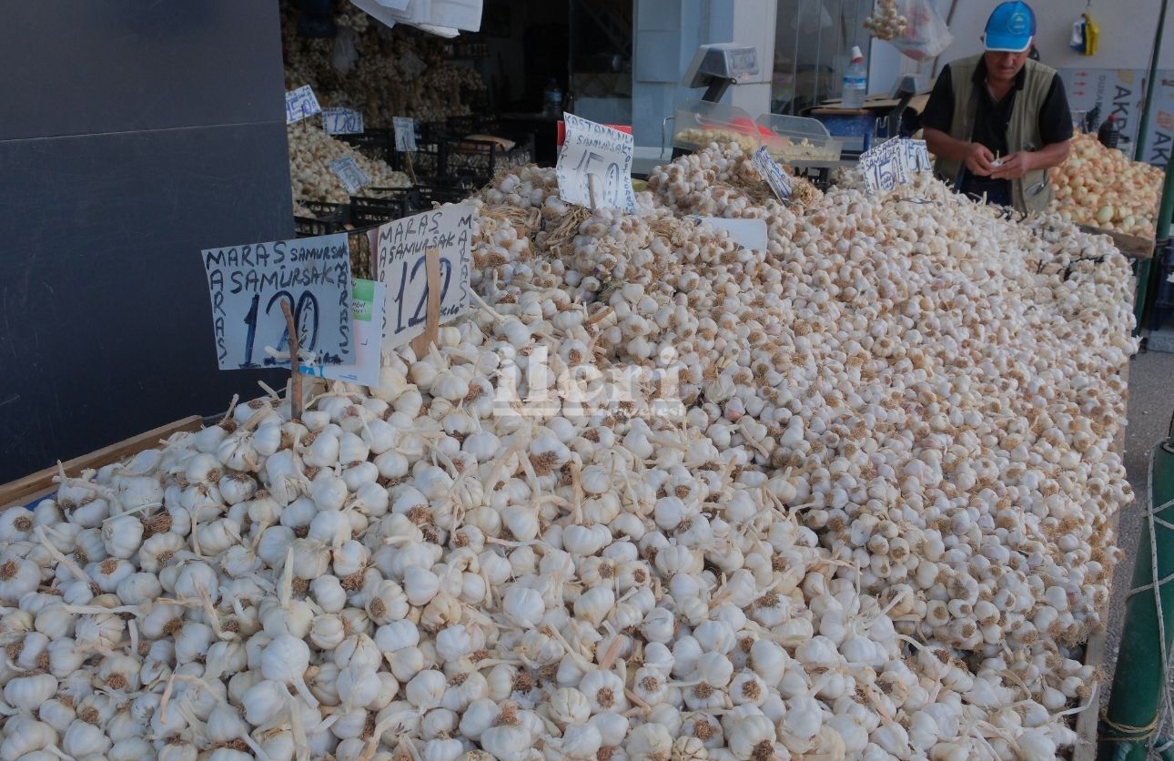 Sarımsak (5)