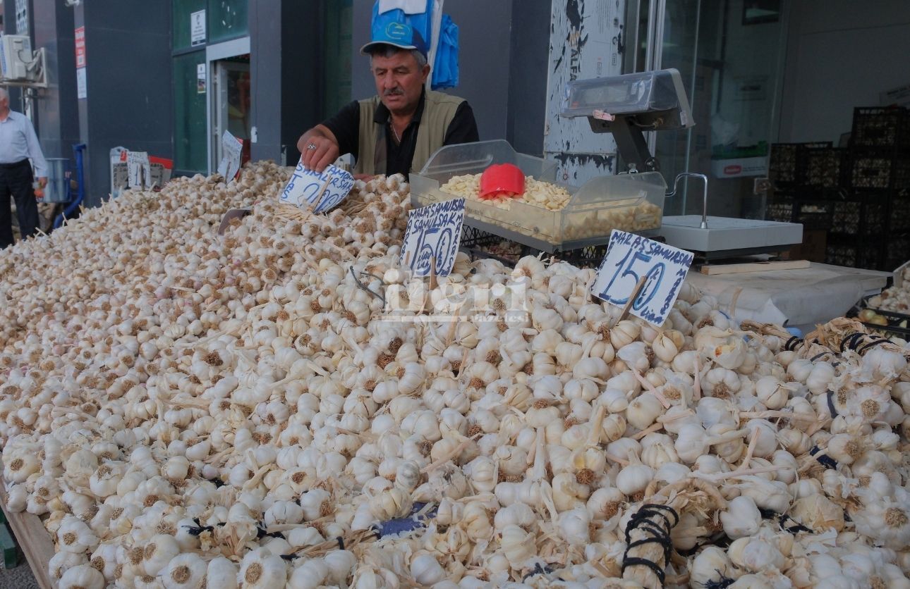 Sarımsak (7)