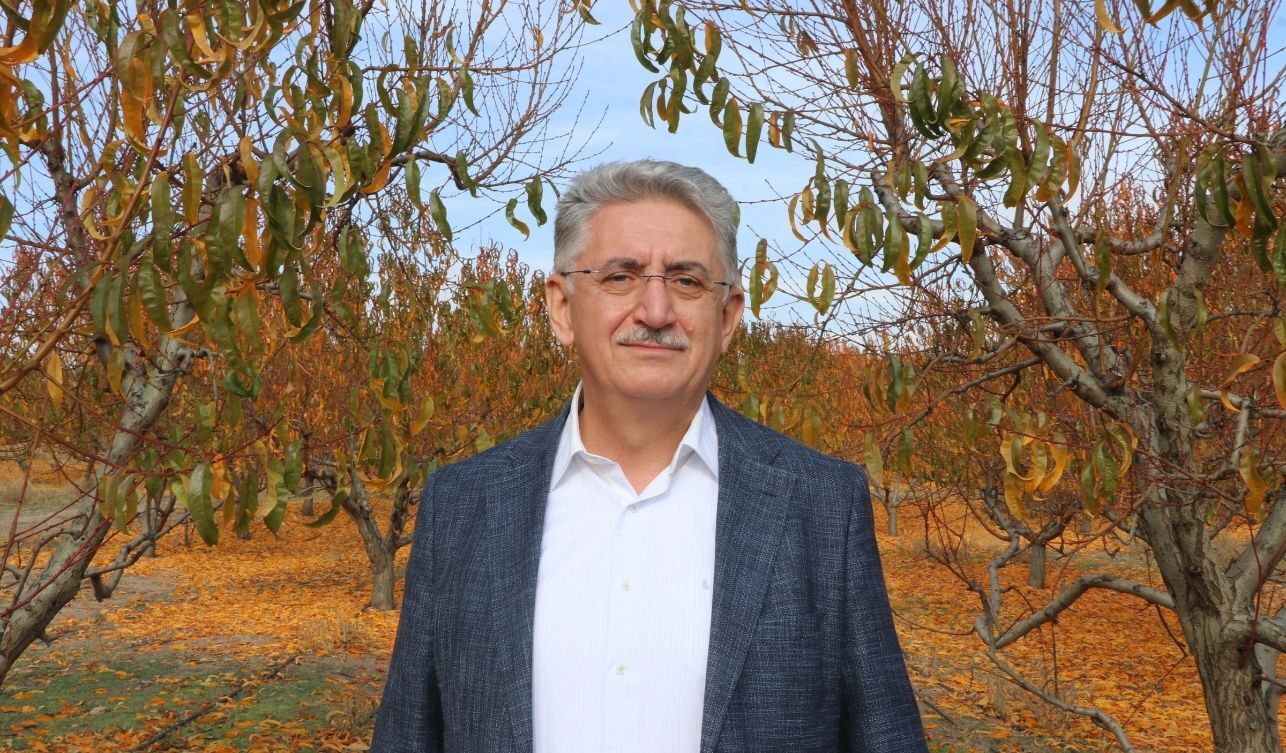 Kabalı (6)