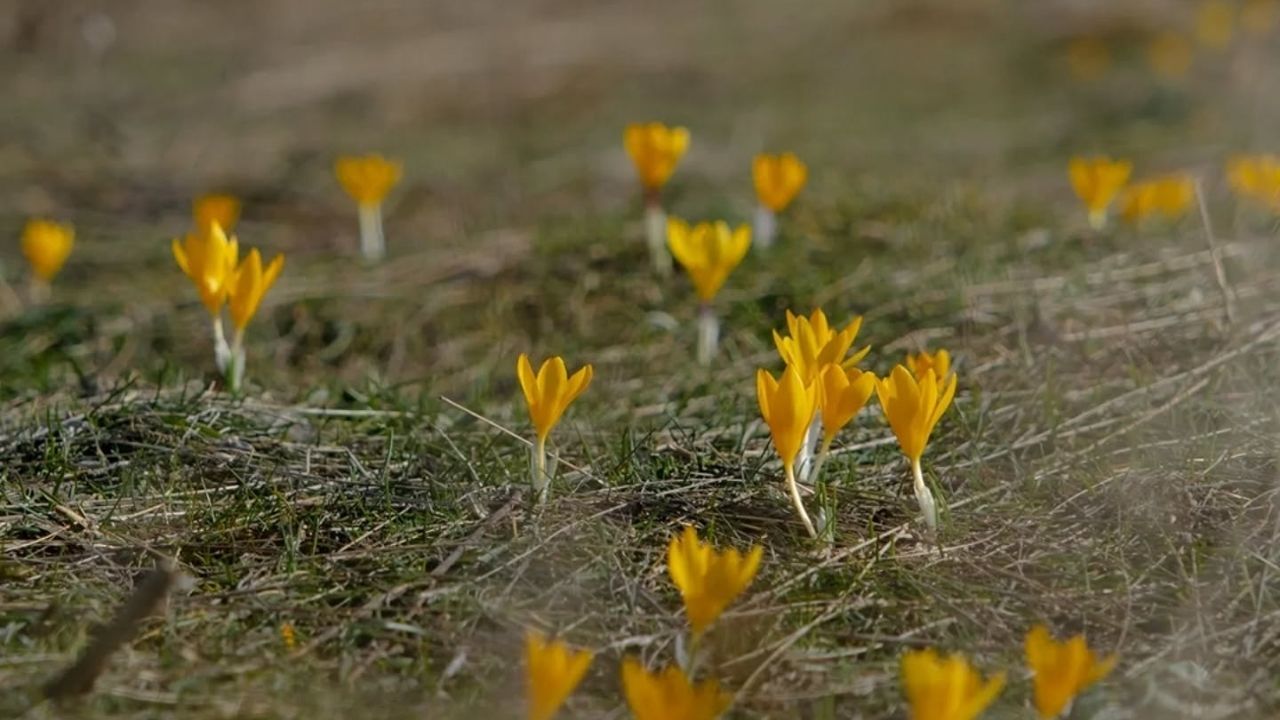 Akdağmadeni̇ (1)