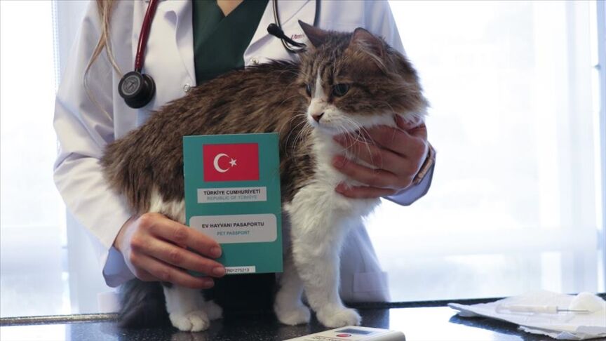 Son Tarih 31 Aralık