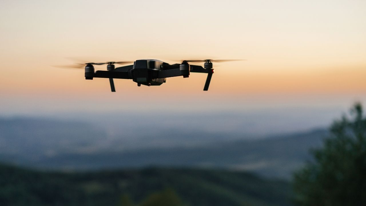 Hayvanları Drone Tespit Etti (1)