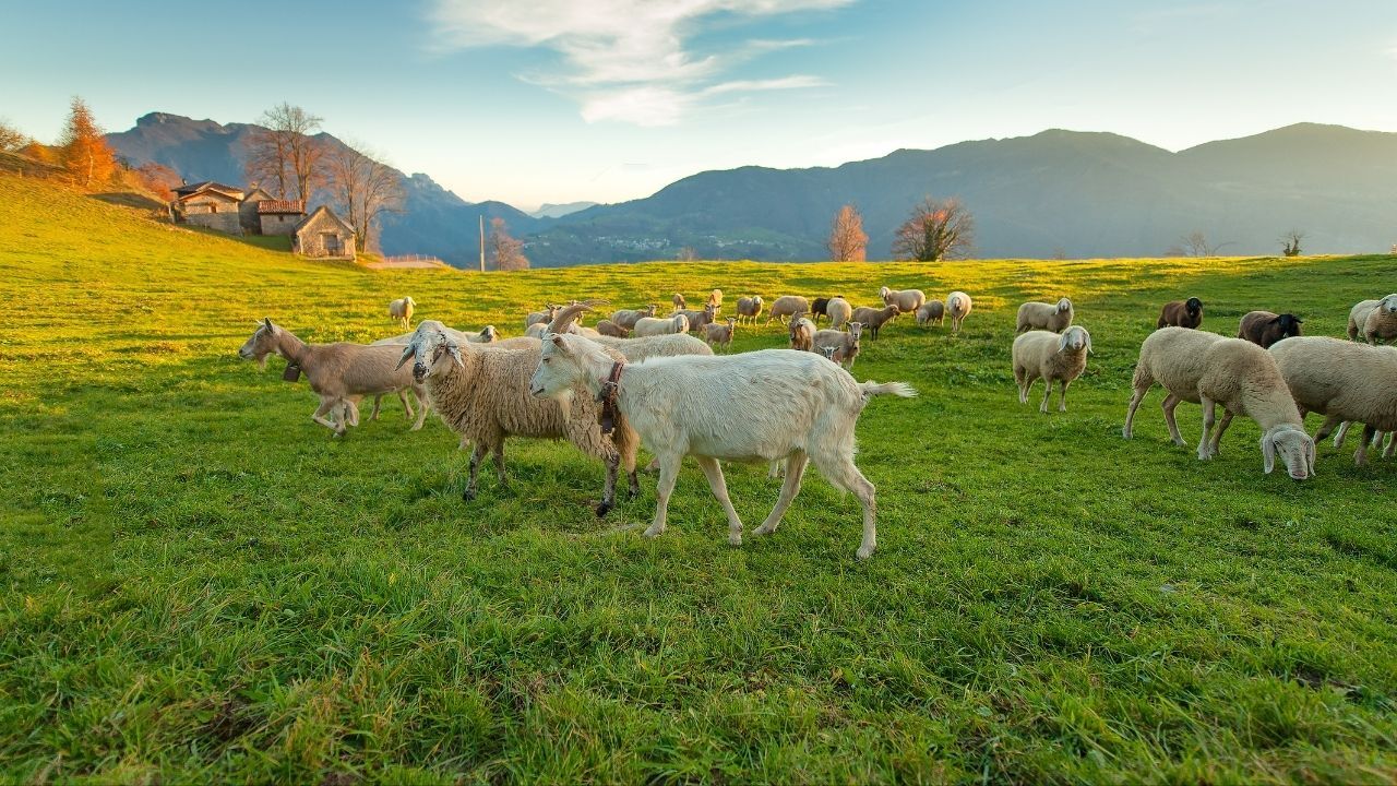Yeni Destek Başvuru (2)