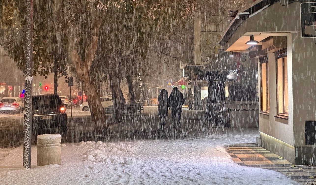 Kar Yağışı (8)