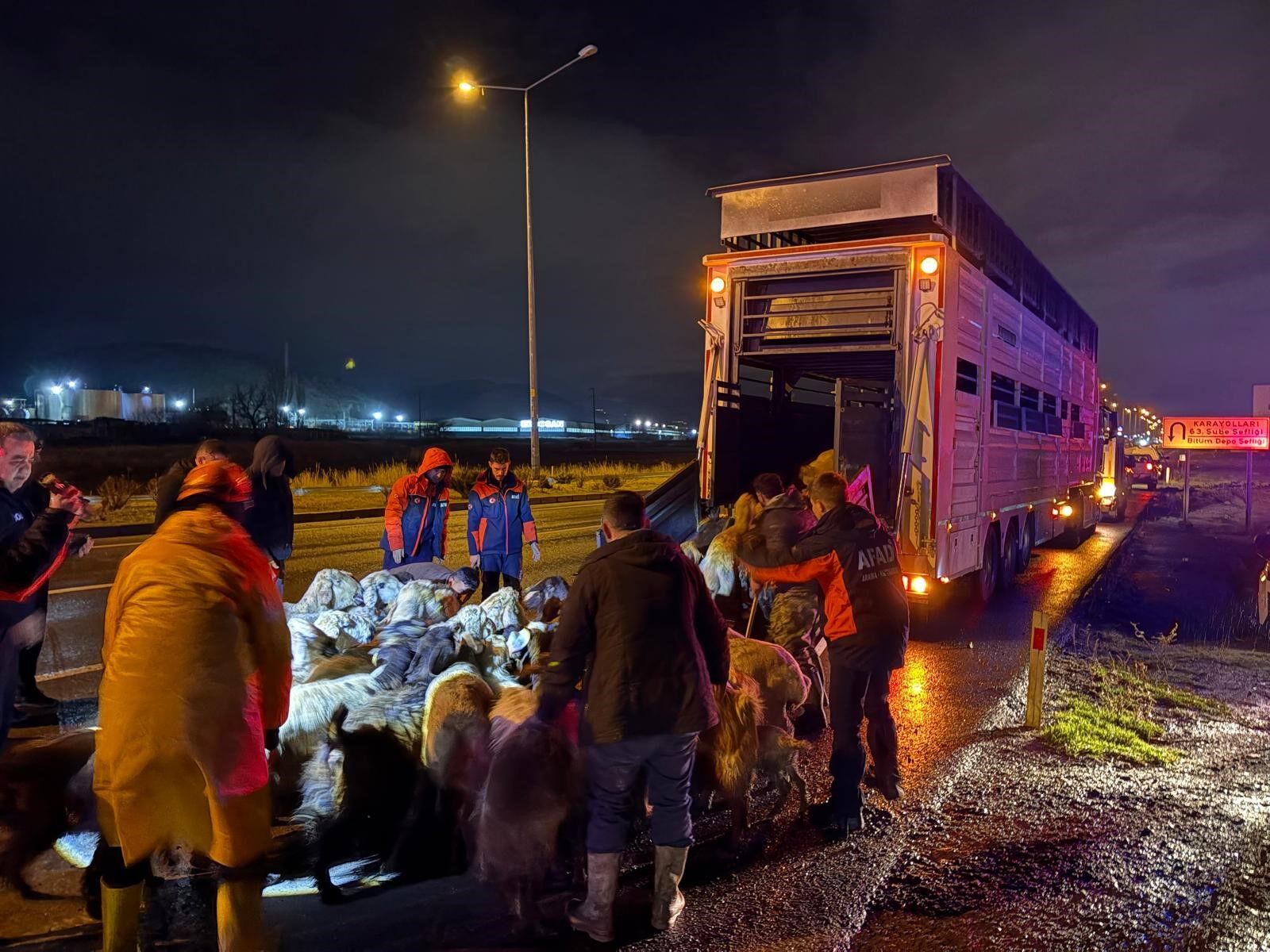 200 Hayvan Tahliye Edildi (1)