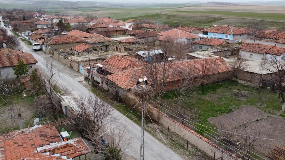 Leylekler Baharı Müjdeledi 3