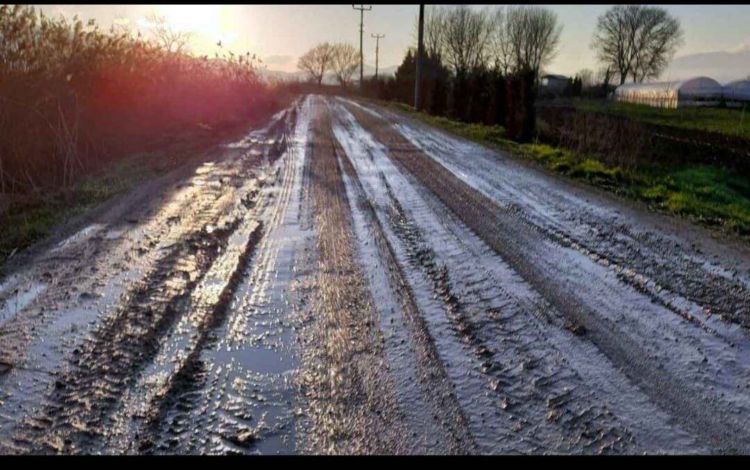 Güvenli Trafik Çağrısı1