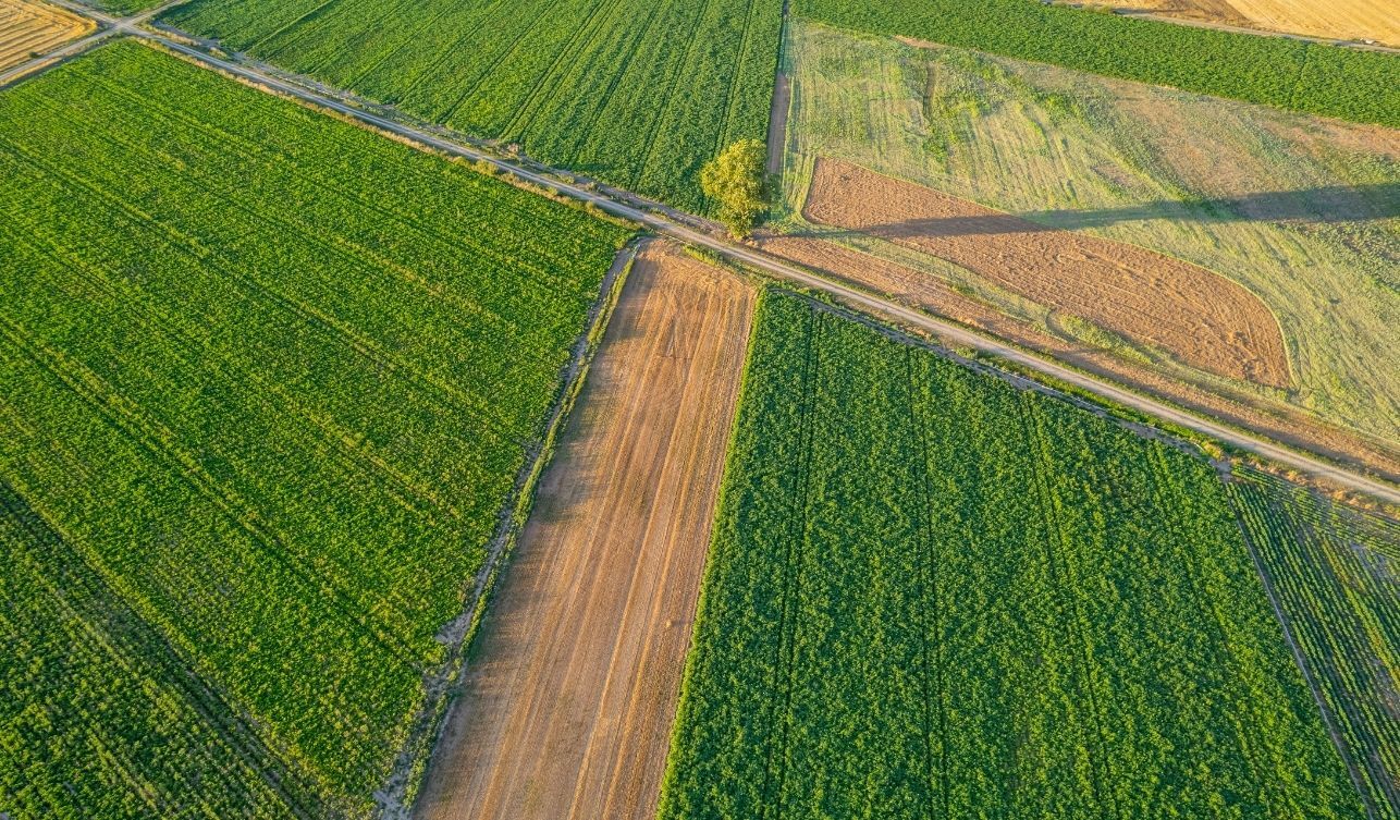 Tarım Arsa Yeni Dönem (3)