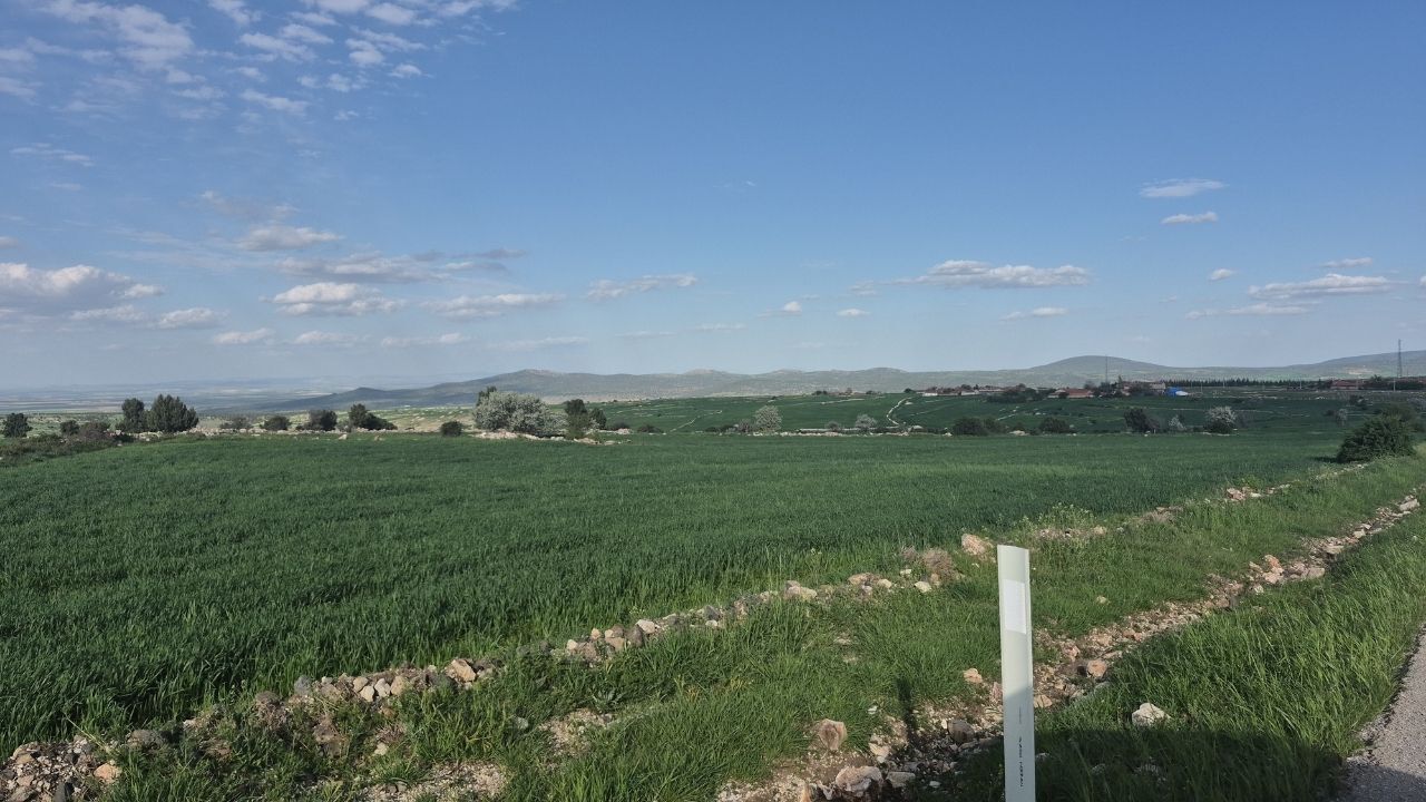 Arazi Kavgası (2)
