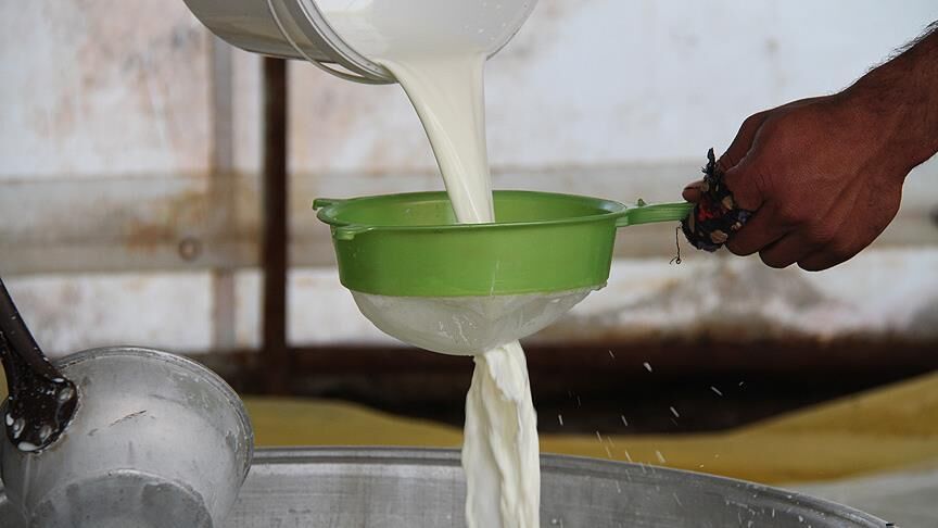 Hayvancılık Sektöründe Ciddi Bir Tablo’ 2