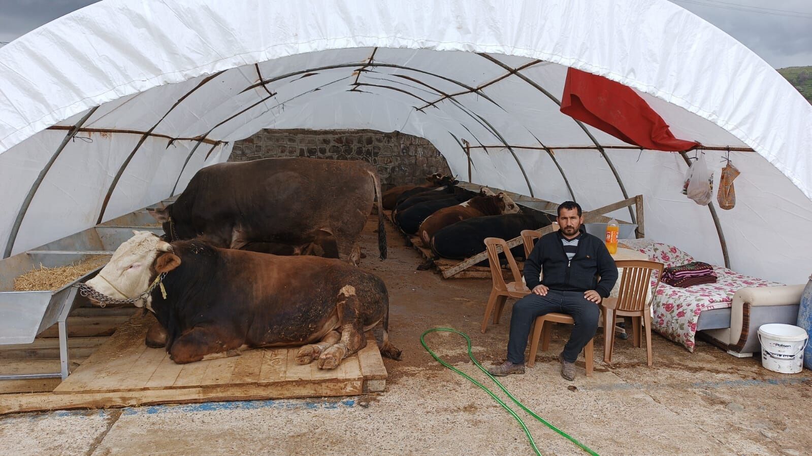 Kurban Pazari Kuruldu