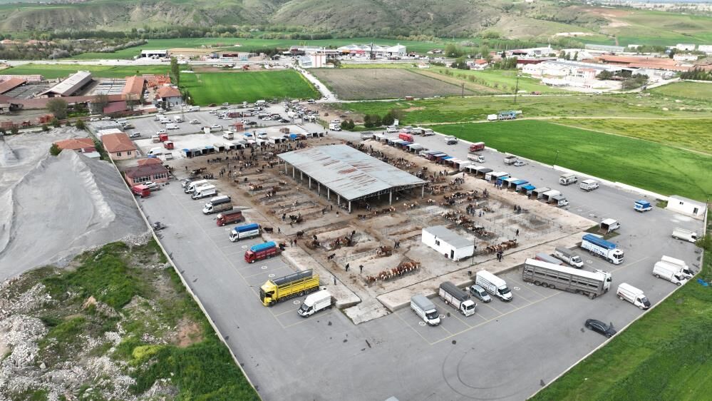 Hayvan Pazarında Hareketlilik Yaşandı2