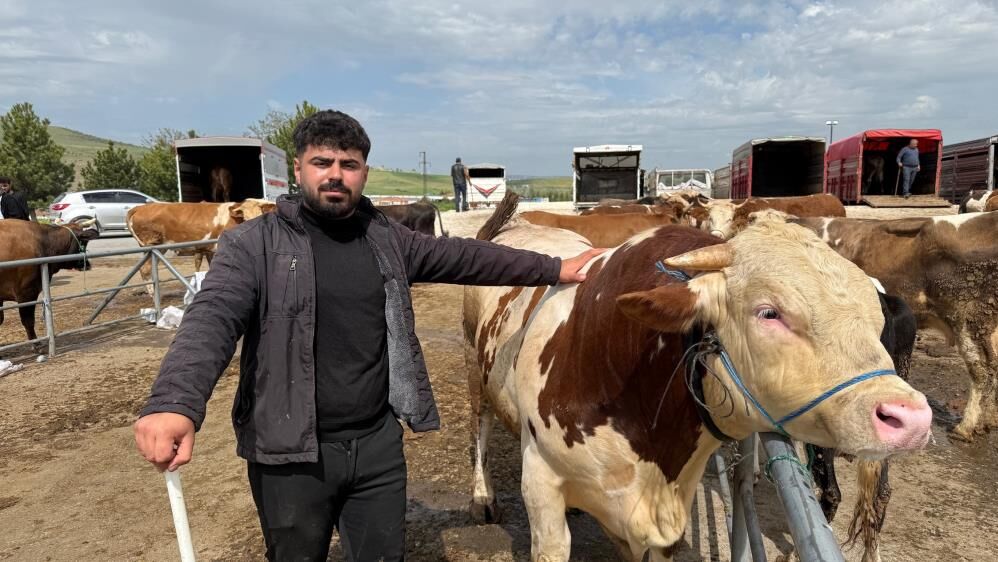 Hayvan Pazarında Hareketlilik Yaşandı3