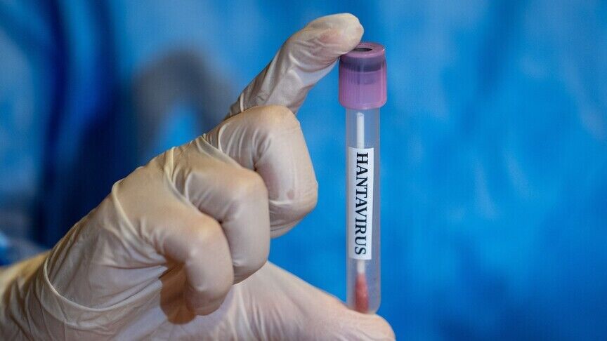 Hantavirüs Salgına Dönüşür Mü (5)