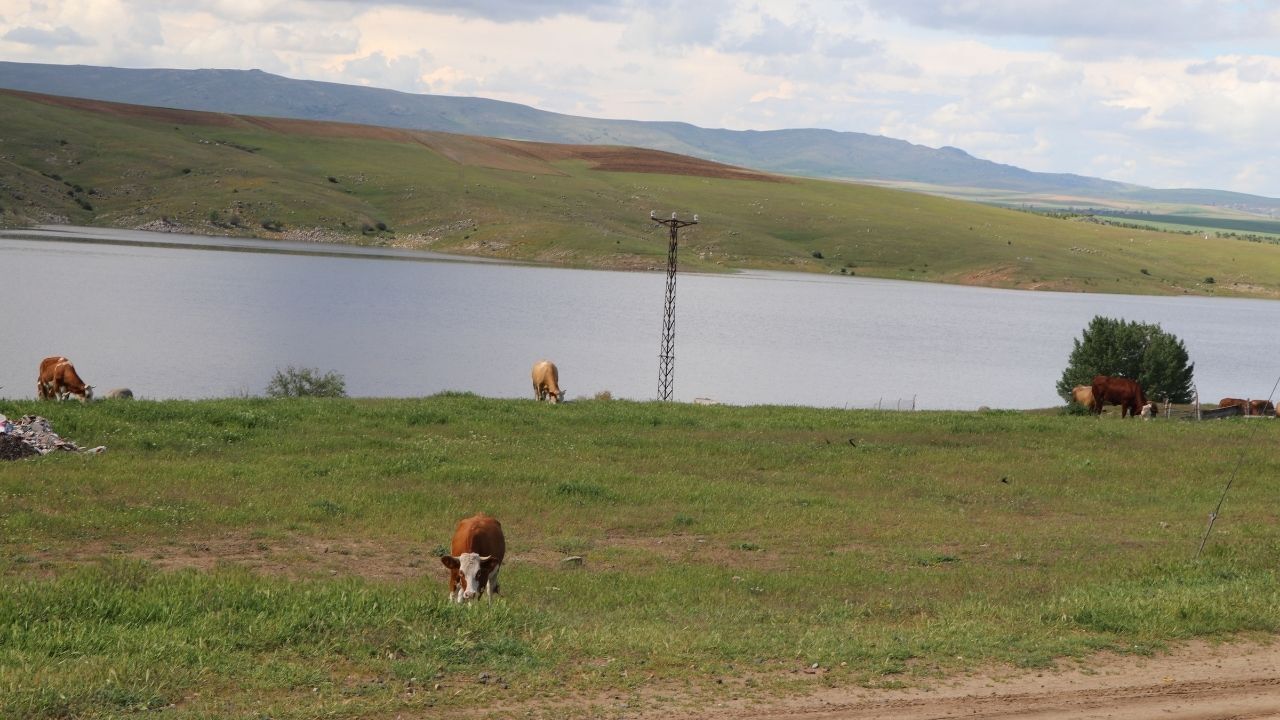 Yozgat’ta Baraj Doldu! Eski Yerleşim Sulara Gömüldü (9)