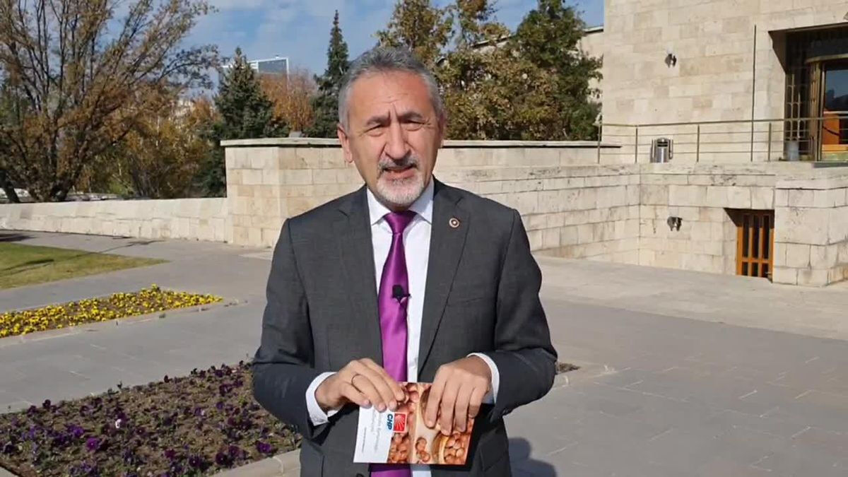 Mustafa Adıgüzel (3)