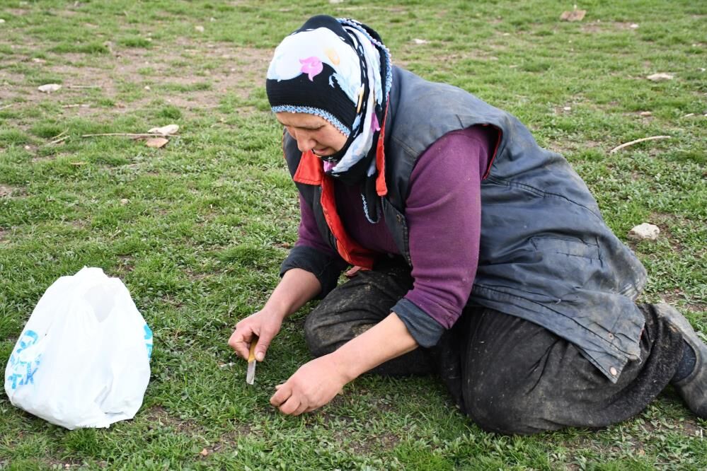 Toplaması Zahmetli Yemesi Lezzetli1