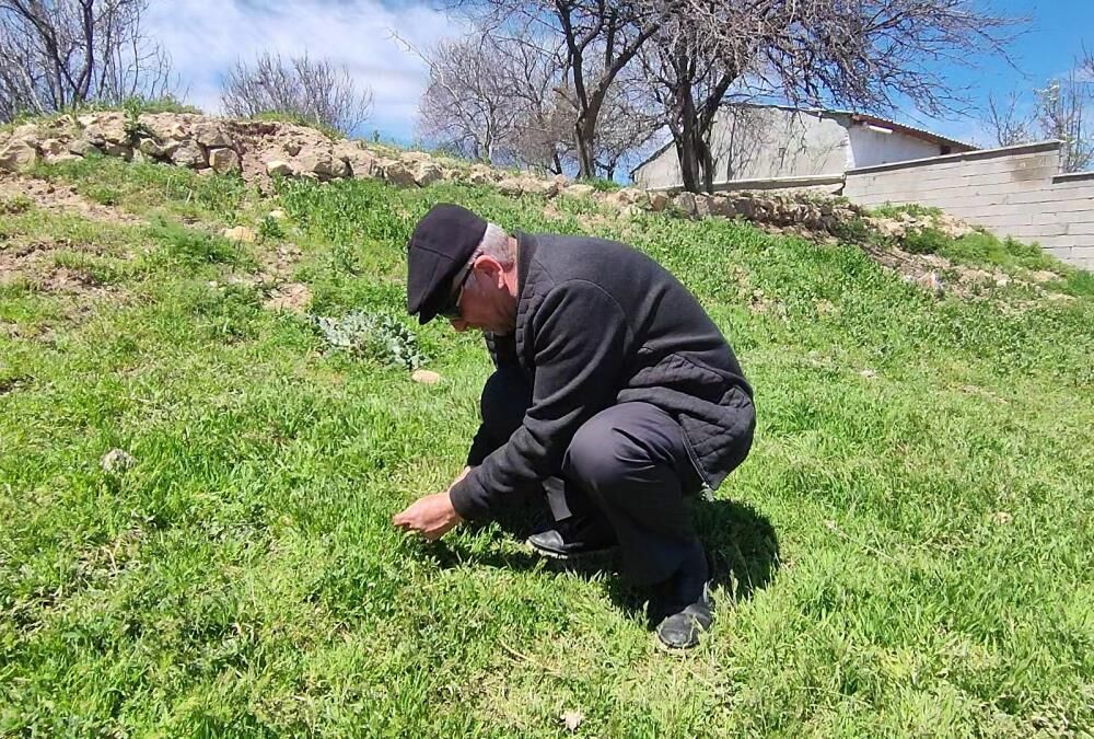 Toplaması Zahmetli Yemesi Lezzetli4