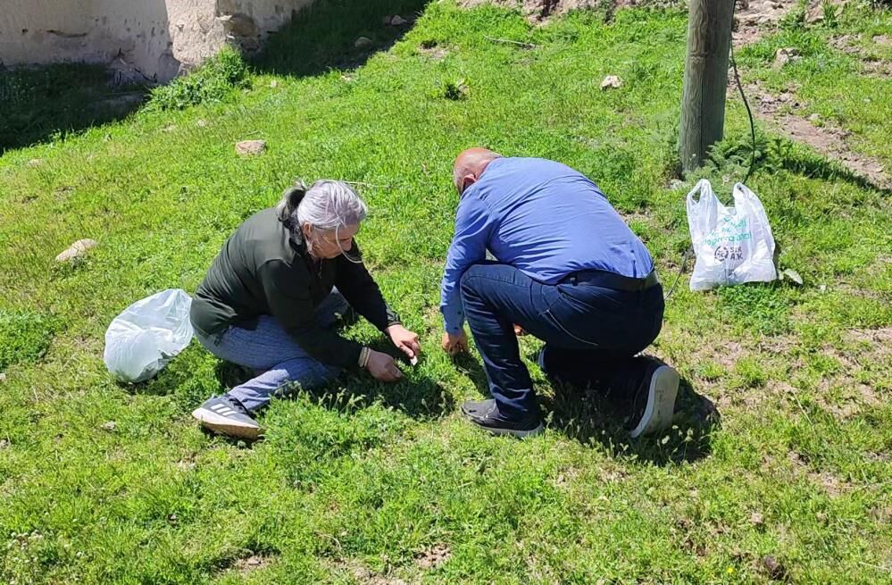 Toplaması Zahmetli Yemesi Lezzetli5