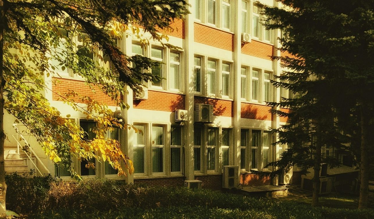 Öğrenci Affı (3)