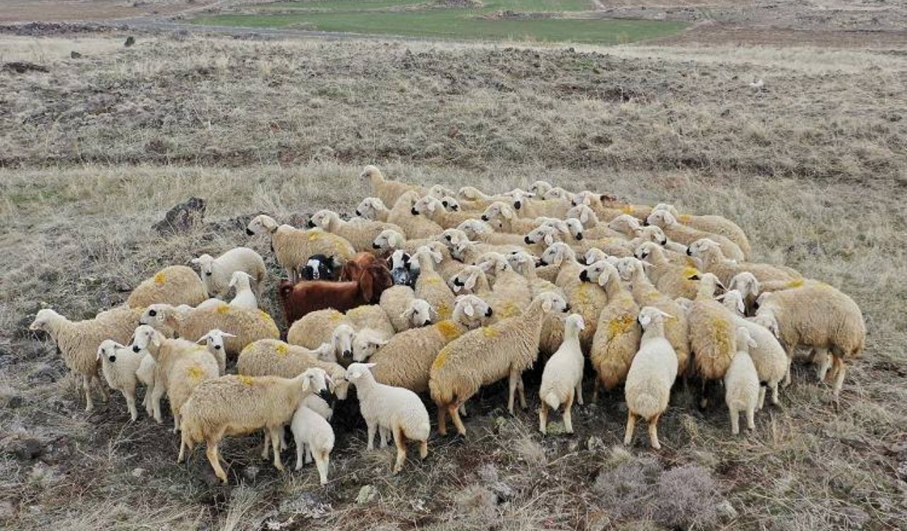 Genç Çiftçiye Dev Destek Tüm Imkanlar Bir Arada Sunulacak (4)