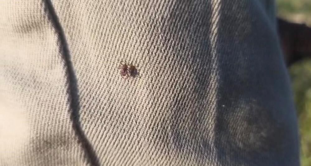 Uyarırken Bile Üzerinde Gezdi