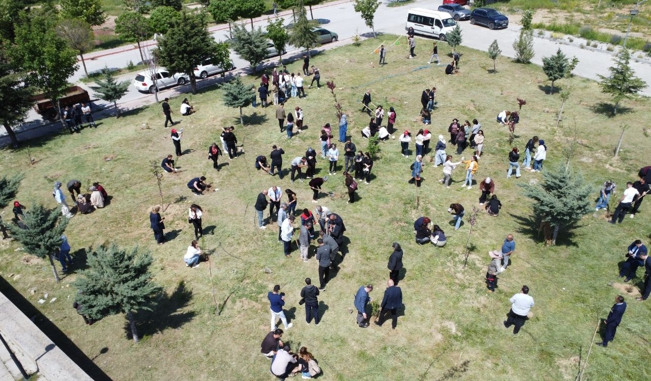 Yozgat Bozok Üniversitesi Mezunları Hatıra Ormanında Fidan Dikti (3)