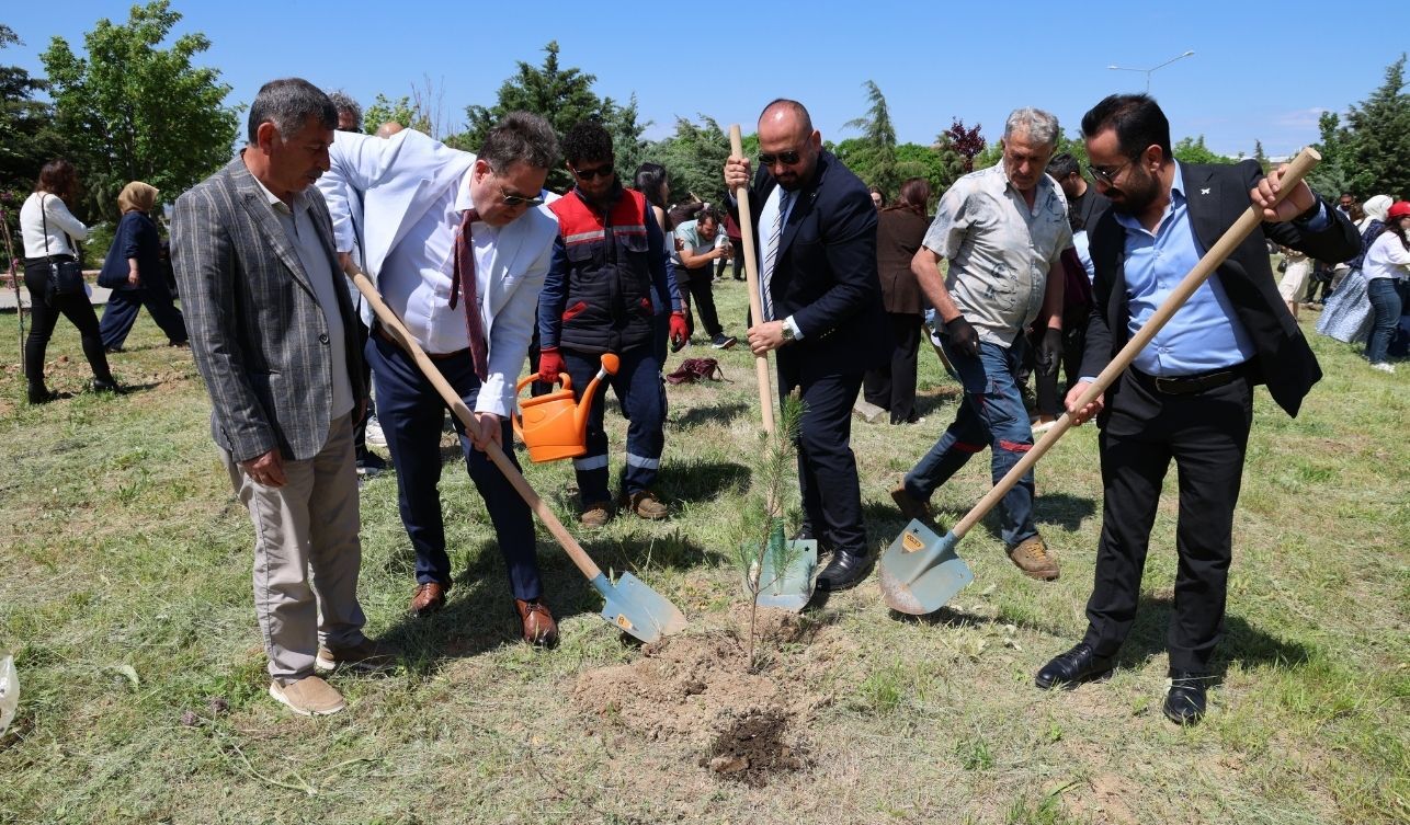 Yozgat Bozok Üniversitesi Mezunları Hatıra Ormanında Fidan Dikti (5)