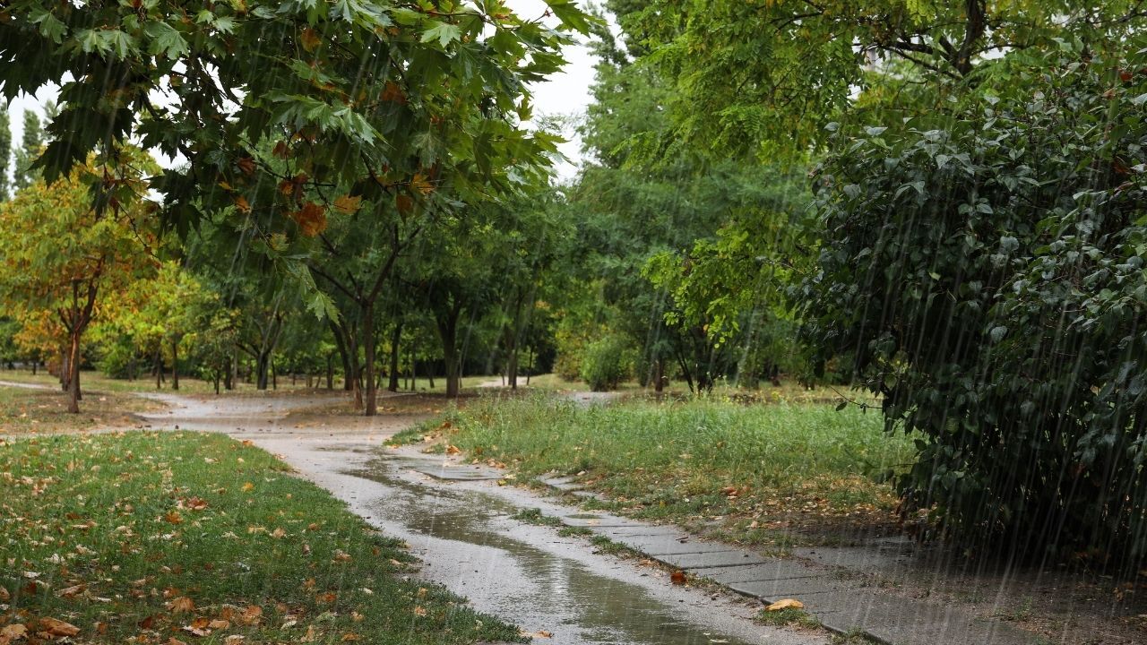 Yağışlar 33 Yılın Zirvesinde (5)