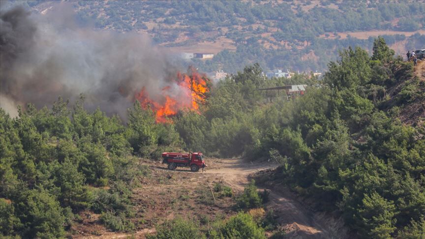 Büyük Bölümü Insan Kaynaklı 2
