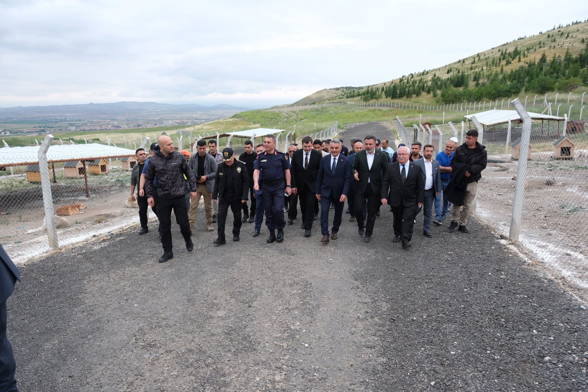 Vali Özkan Yerköy Hayvan Bakımevi’nde İncelemelerde Bulundu (2)