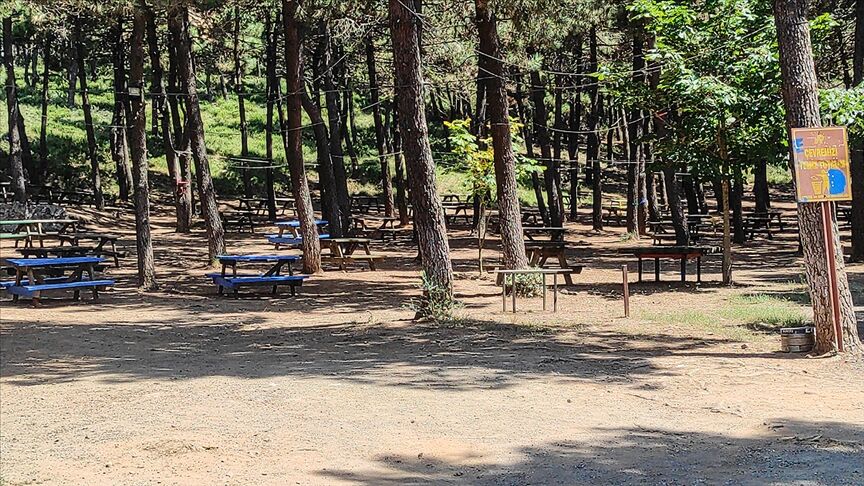 Valilikten Destek Çağrısı (3)