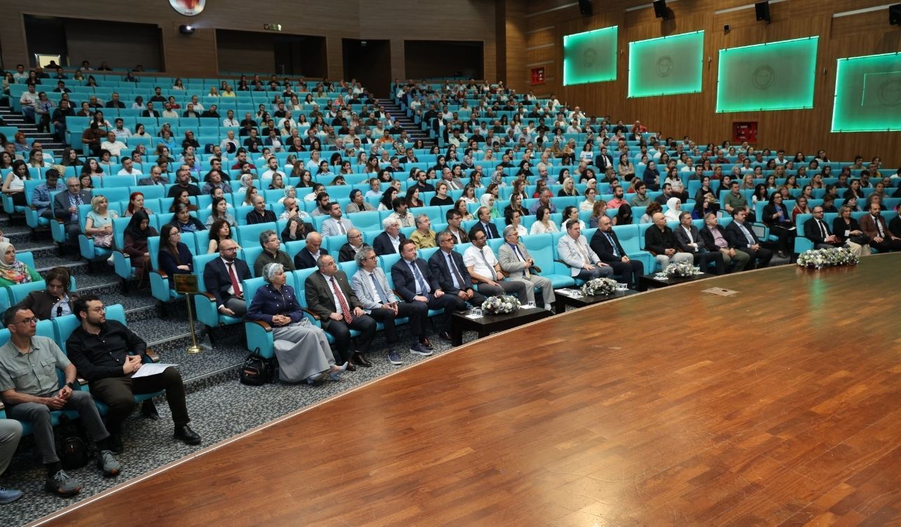 Yobü (3)