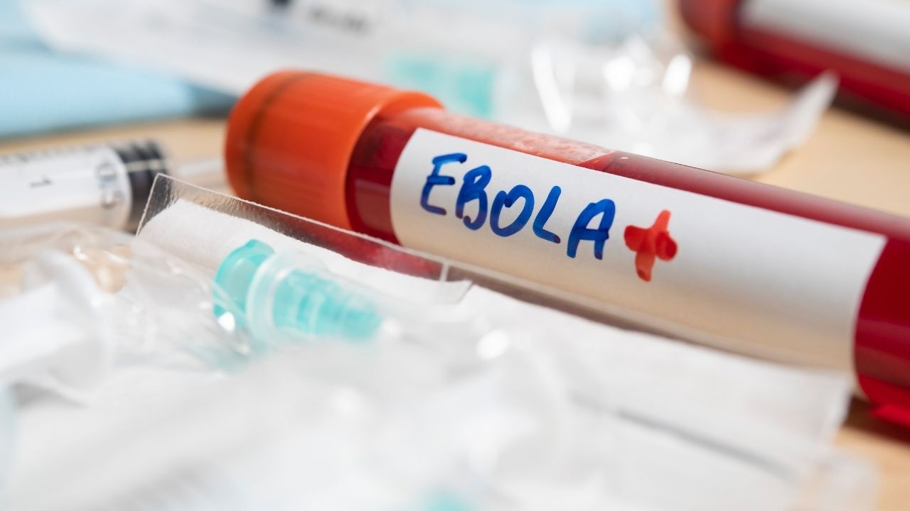 Ebola alarmı: Avrupa’da ilk vaka tespit edildi
