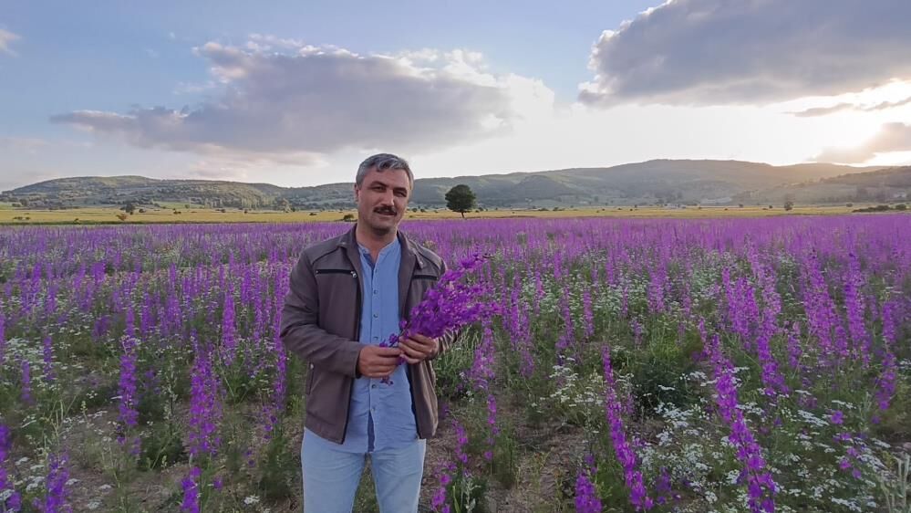 Çiçekler Resim Tablosunu Andırdı