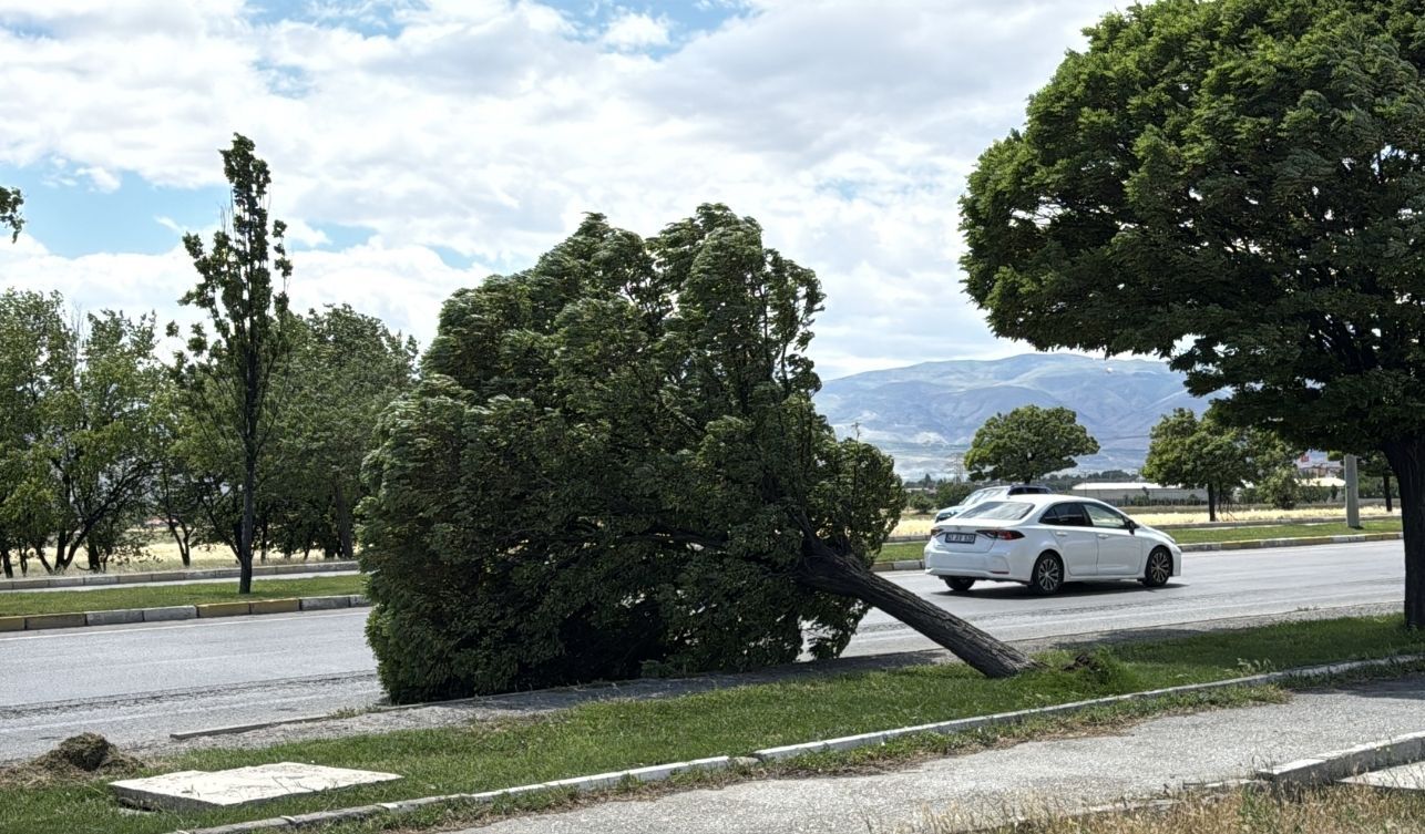 Rüzgar Kentte Hasara Yol Açtı Çatılar Uçtu, Ağaçlar Devrildi (2)