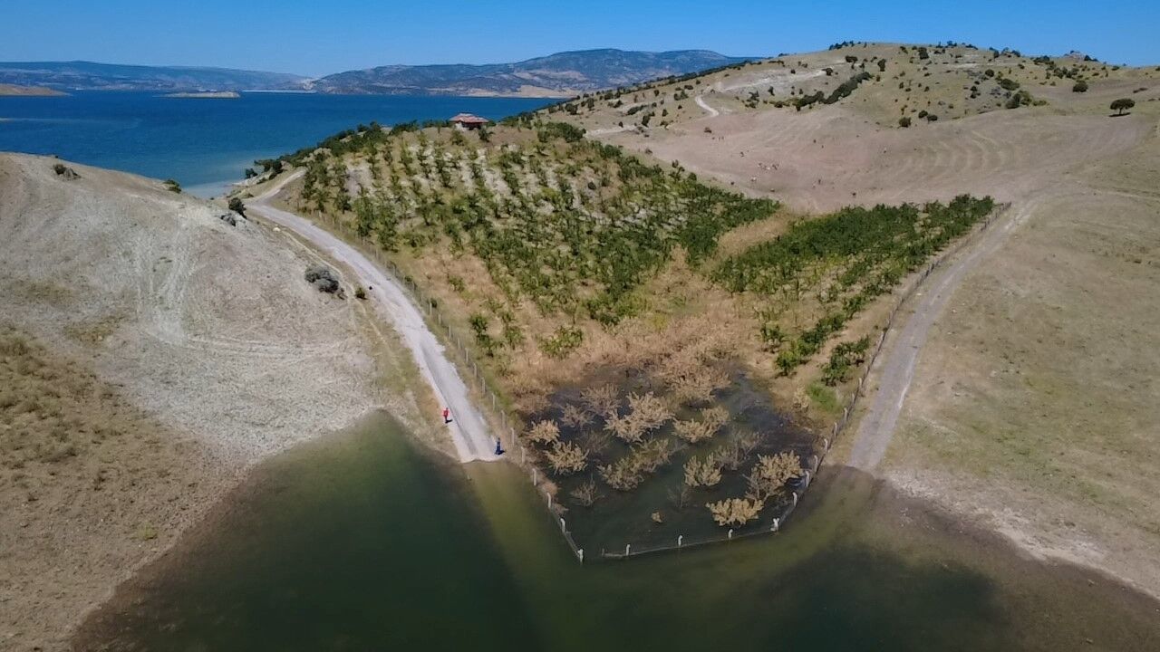 Yozgat’ta Badem Ağaçları Sular Altında Kaldı (5)
