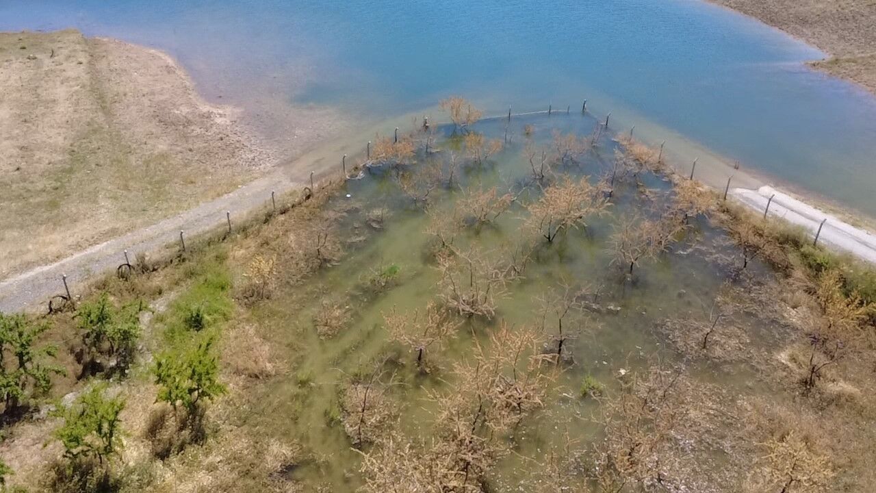 Yozgat’ta Badem Ağaçları Sular Altında Kaldı (6)