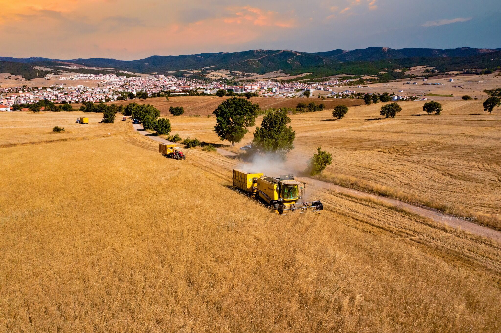 Tarım