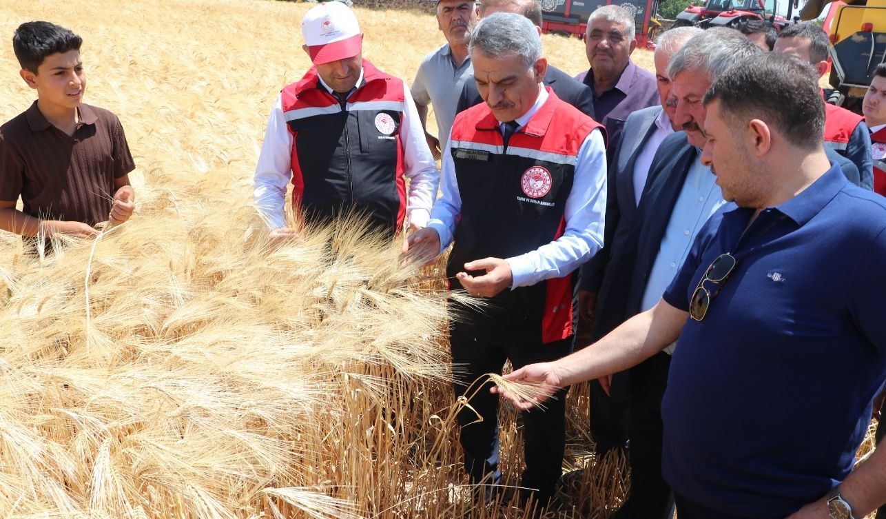 Tarım (2)