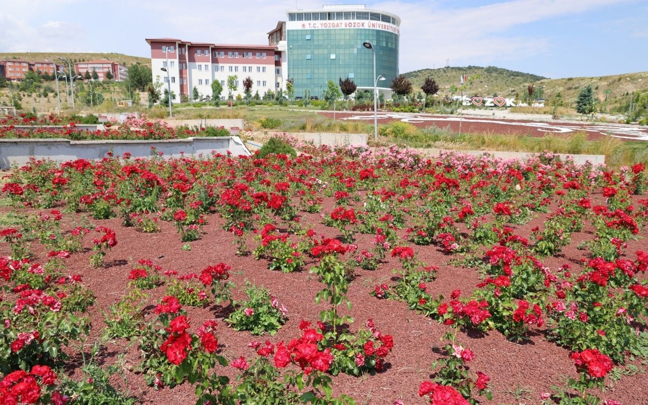 Yobü (3)
