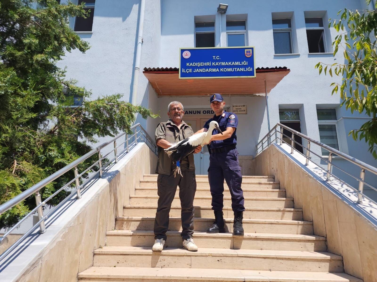 Jandarma Yaralı Leyleği Koruma Altına Aldı (1)