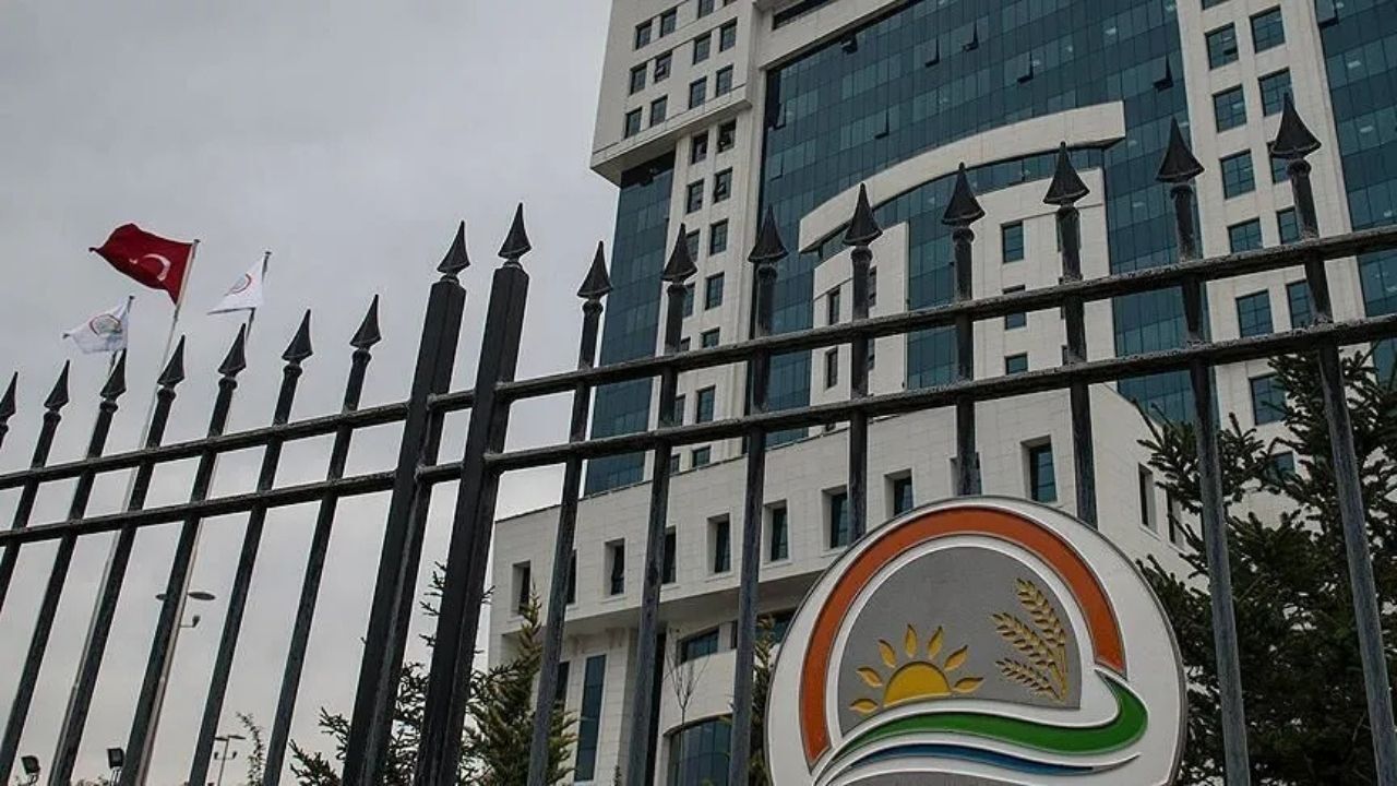 Tarım Orman Bakanlığı Personel Alımı (5)