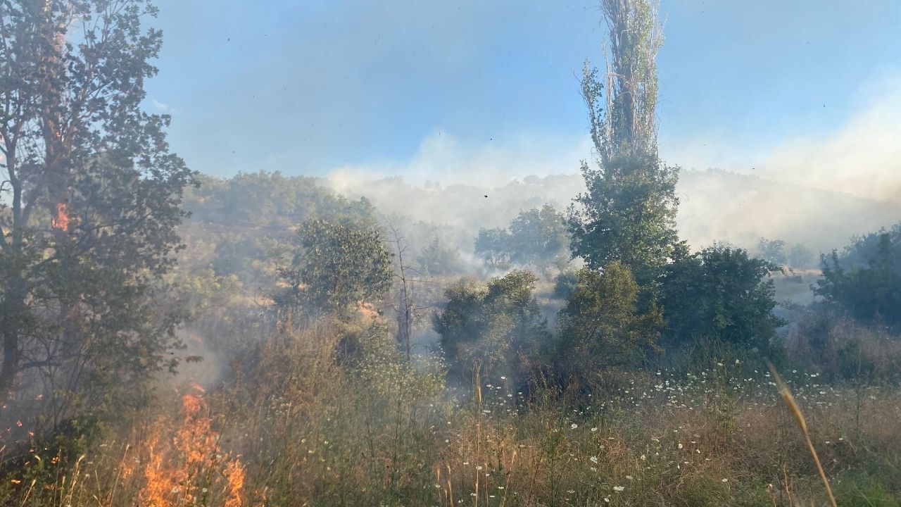 Çorum Yangın (2)
