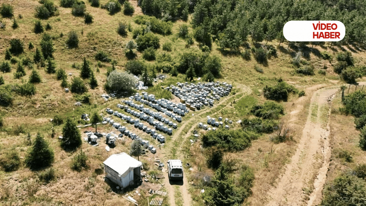 Yozgat arıcılara umut oldu