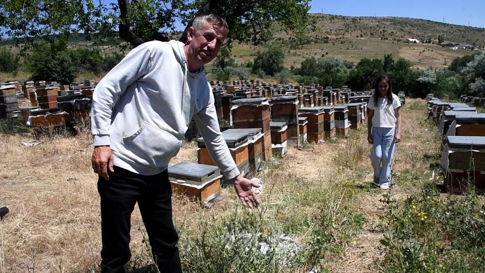 Yozgat Arıcılara Umut Oldu 2