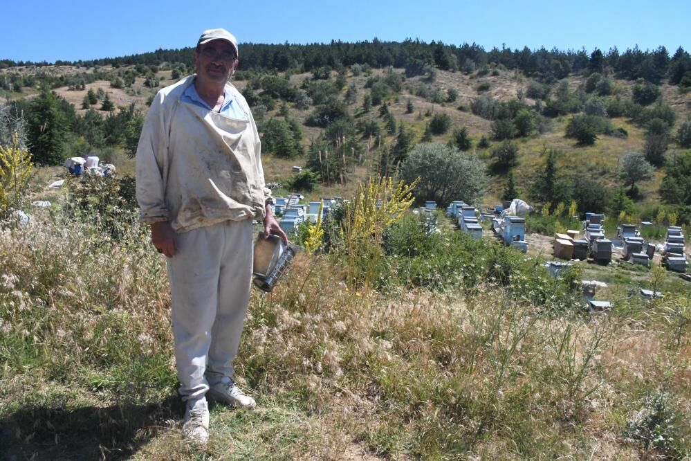 Yozgat Arıcılara Umut Oldu 5